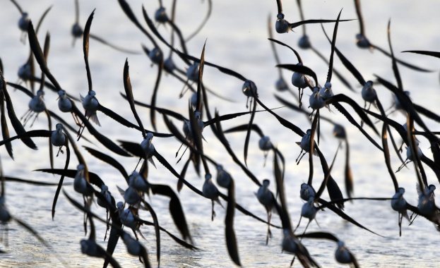Предстоящи събития в страната за утре, 8 март