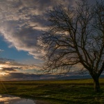 Предстоящи събития 