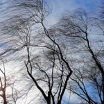 И за утре - жълт код за силен вятър