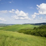 Големите собственици продават ниви, десетки хиляди декари са пуснати за два месеца