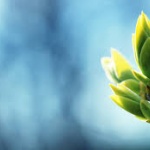 Предстоящи събития в страната на 14 март 2023 г.