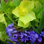 Предстоящи събития на 30 март 2018