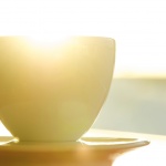 Предстоящи събития в страната 