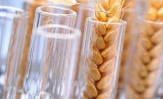 Храната ни е отрова