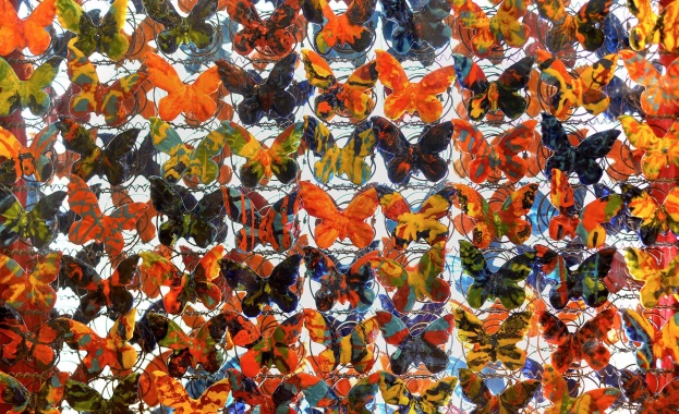 Рождениците днес