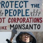 ЕП: Ново разрешително за глифозата – само за седем години!