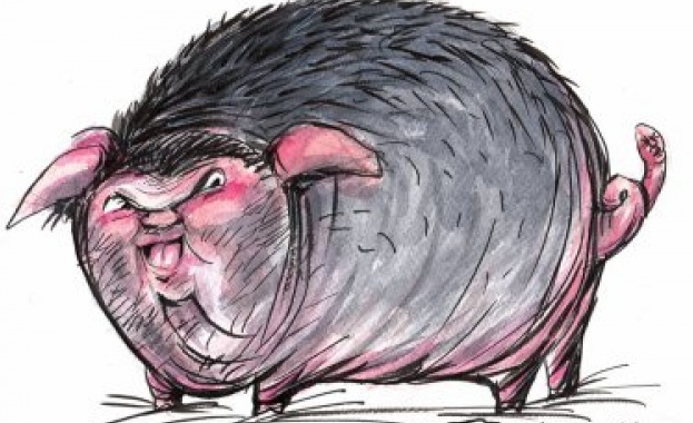 "Да не подкрепяме свинските опашки в журналистиката"