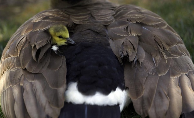 Предстоящи събития за днес, 17 април