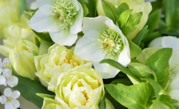 Рождениците днес 