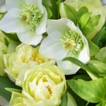 Рождениците днес 