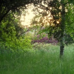 Предстоящи събития