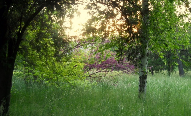 Предстоящи събития