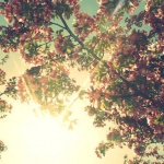 Предстоящи събития