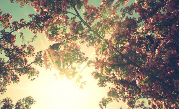 Предстоящи събития