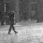 Предстоящи събития