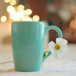 Предстоящи събития в страната 