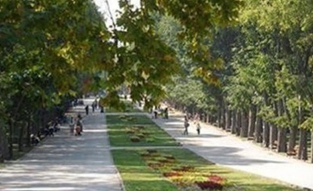 Европейски зелен кът украсява Морската градина