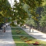 Европейски зелен кът украсява Морската градина