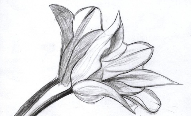 Рождениците днес 