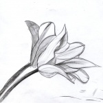 Рождениците днес 