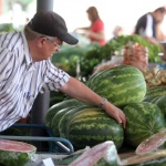 80% от плодовете и зеленчуците в България са вносни