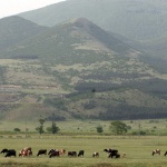 274 малки ВЕИ пред фалит, собствениците им излизат на протест