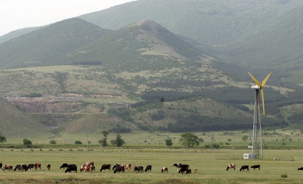 274 малки ВЕИ пред фалит, собствениците им излизат на протест