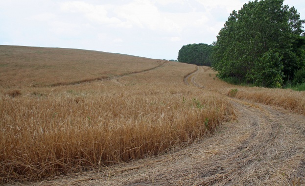 ЕК настоява България, Унгария, Латвия, Литва и Словакия да се съобразяват с правилата на ЕС относно придобиването на земеделска земя