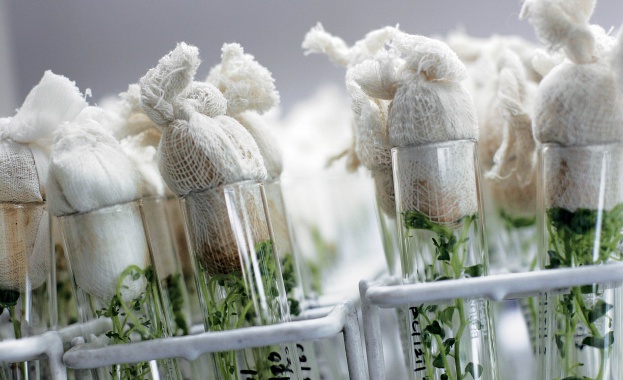 САЩ се отказват от ГМО?