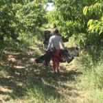 Кмет предлага връщане на младежките летни бригади