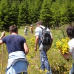 Поход на билките