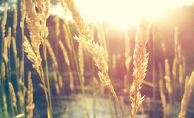 Предстоящи събития