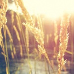 Предстоящи събития