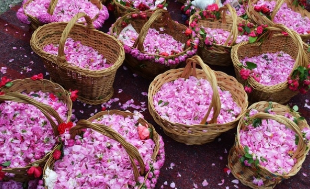 Пламен Николов:Светът е влюбен в българското розово масло