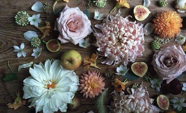 Рождениците днес 