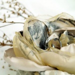 Рождениците днес 