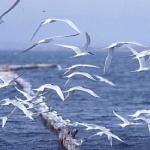 Предстоящи събития в страната 