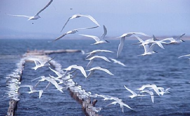 Предстоящи събития в страната 