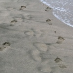 Предстоящи събития в страната 