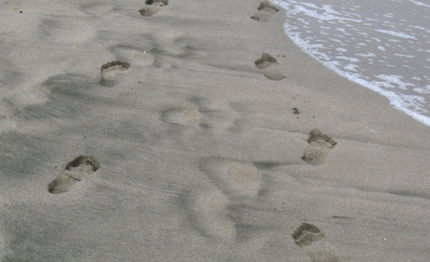 Предстоящи събития в страната 