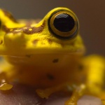 Предстоящи събития в страната за днес, 19 юни