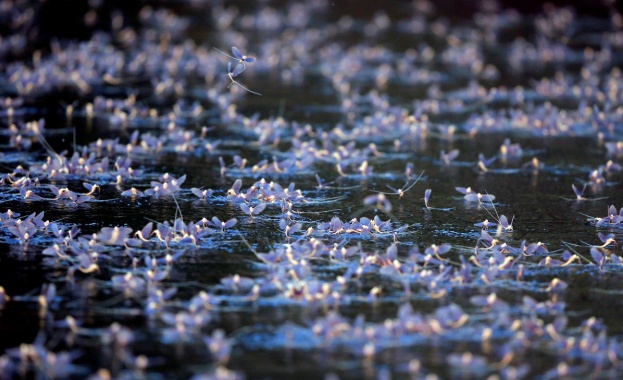 Предстоящи събития в страната за утре, 20 юни