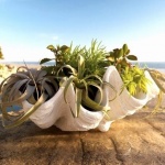 Рождениците днес 