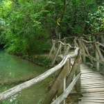 Предстоящи събития в страната 