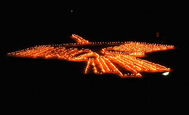 Огнено колибри ще запърха с криле на Централния плаж в Бургас 