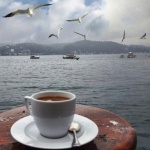 Предстоящи събития в страната 