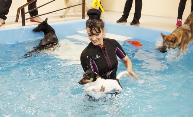 Шоу за кучета в Sofia Ring Mall