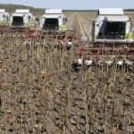 Предстоящи събития