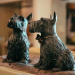 Британският пудел подви опашка, българският ще я върти до скъсване