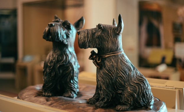 Британският пудел подви опашка, българският ще я върти до скъсване